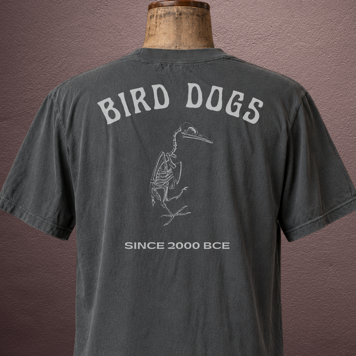 Bird Dogs