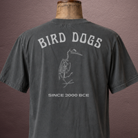 Bird Dogs