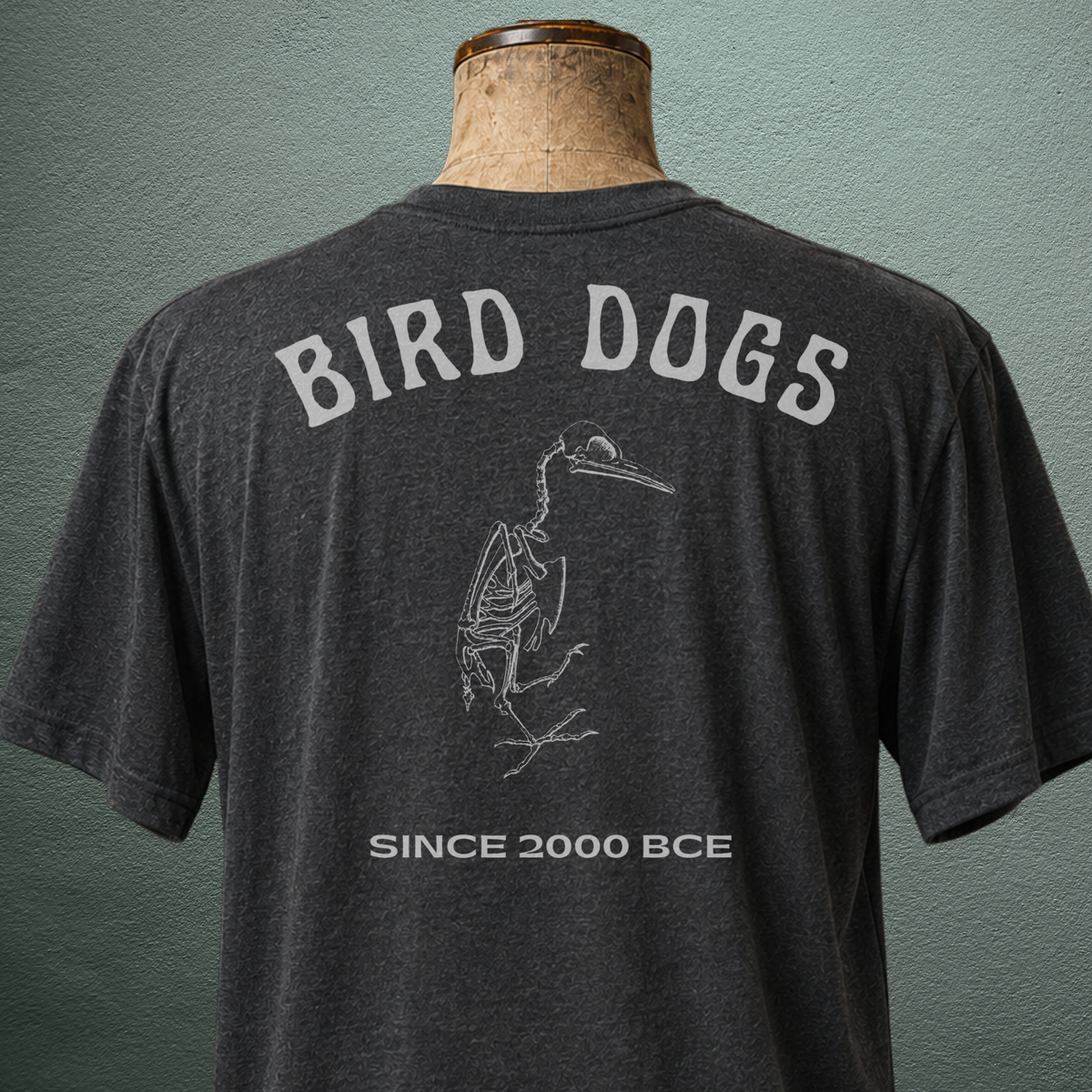 Bird Dogs