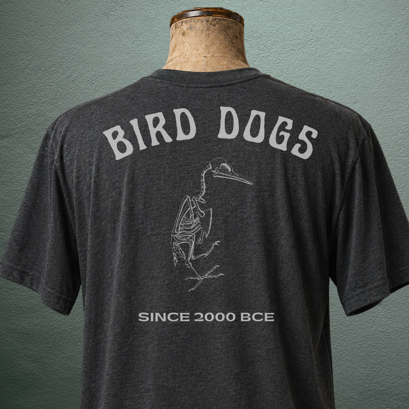 Bird Dogs