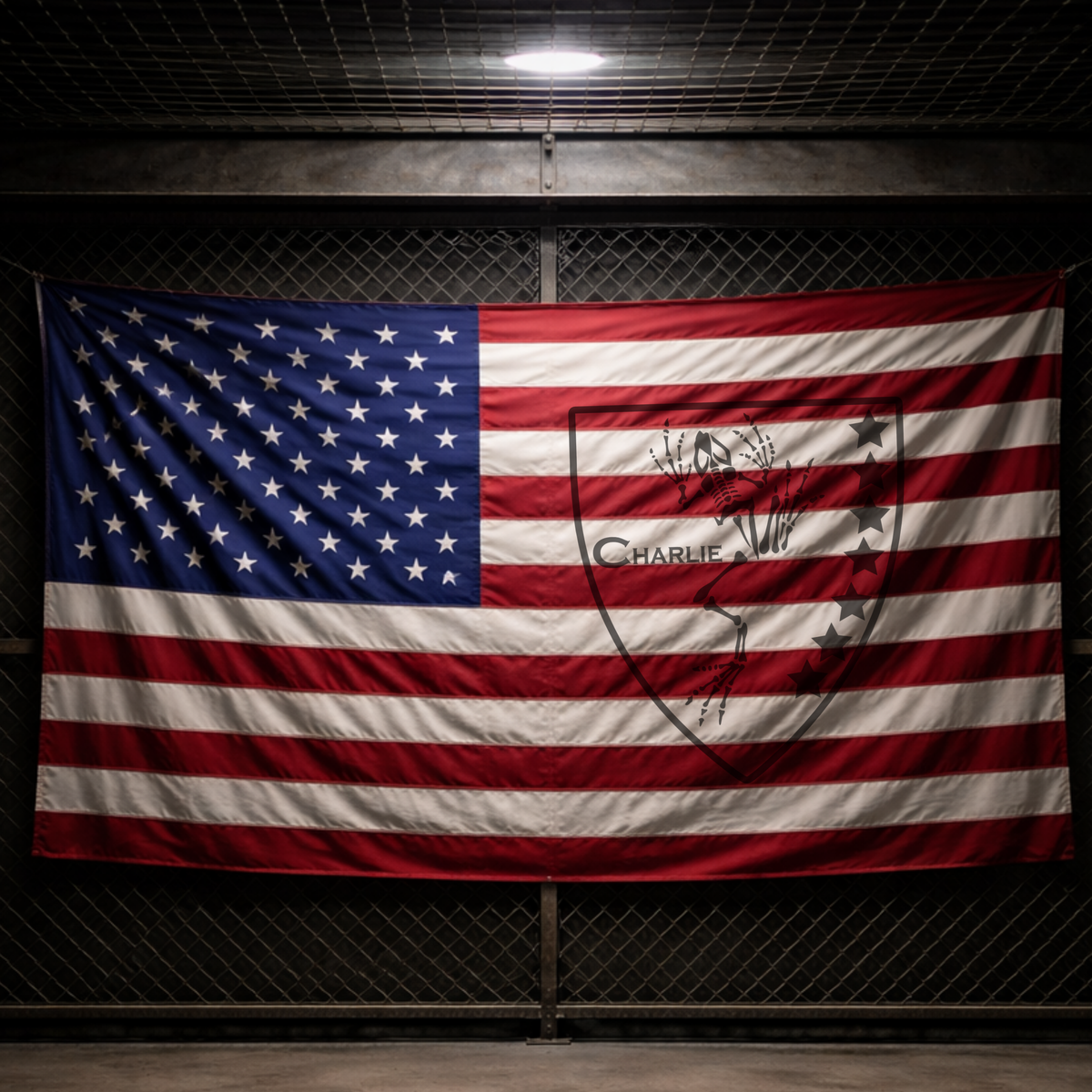 Charlie 7 American Flag